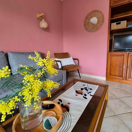 French Riviera Apartment